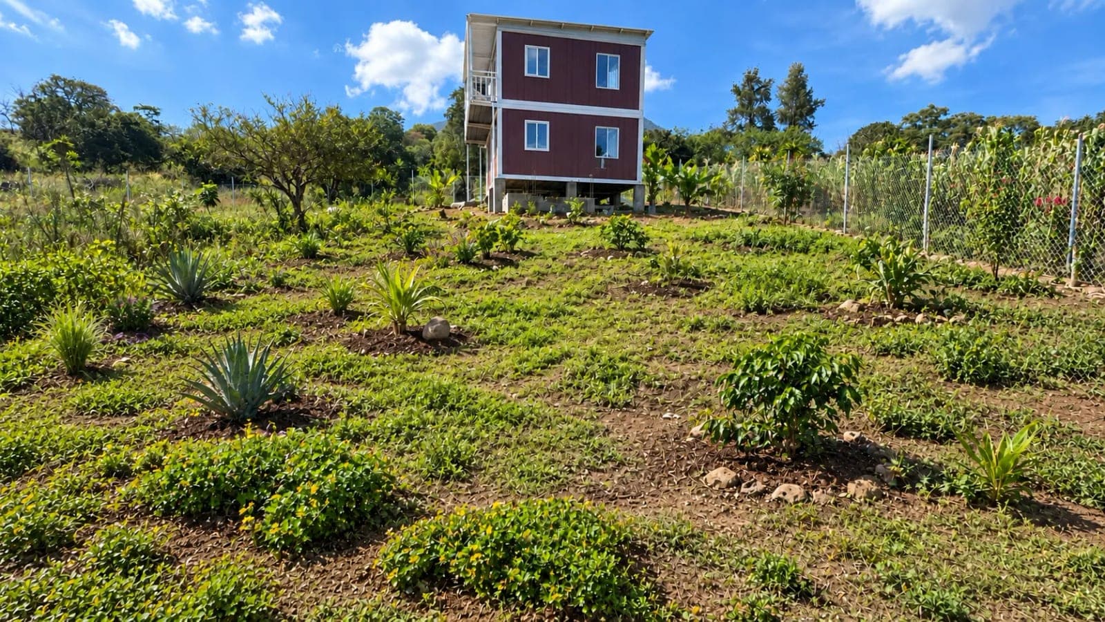 The home already built on Lot 1 at Camino 5, with the young garden
