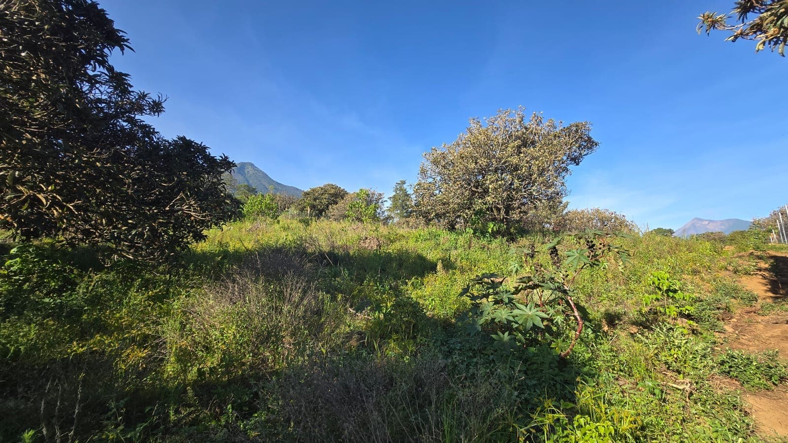 The Camino 5 land toward Volcán de Agua